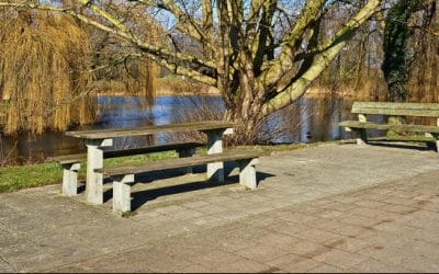 Amb el bon temps… gaudeix d’un bon pícnic!