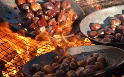 La castanyada i Halloween a Ripoll