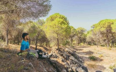 Quin tipus d’activitats interessants hi ha a l’estiu en el Ripollès?