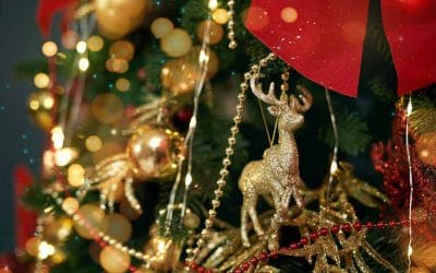 Descobreix la Fira de Nadal de Ripoll