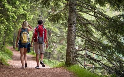 Rutes de Senderisme al Ripollès