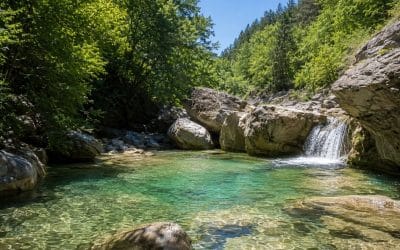 Llocs per banyar-se al Ripollès: gorgs, rieres i racons d’aigua a prop d’El Serradal i Mas Guanter